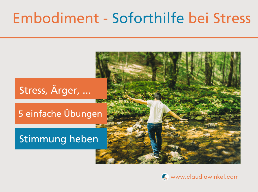 5 Embodiment - Übungen für mehr Resilienz und sofortige Stressregulation I Claudia Winkel