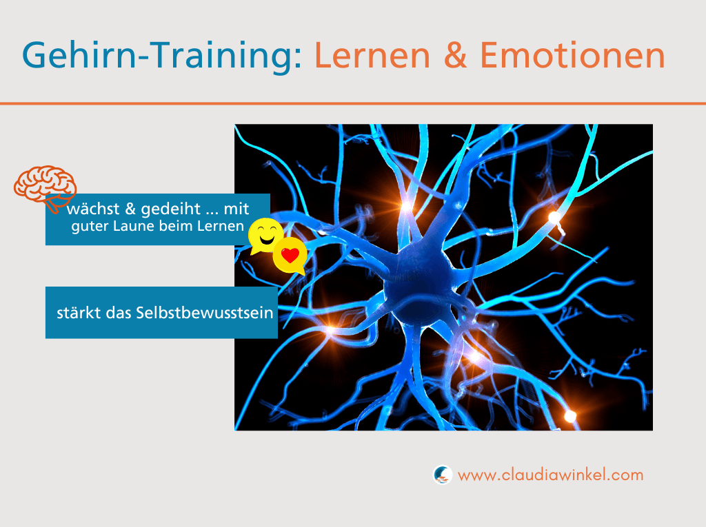 Gehirntraining: lebenslanges Lernen stärkt das Selbstbewusstsein und die persönliche Entwicklung