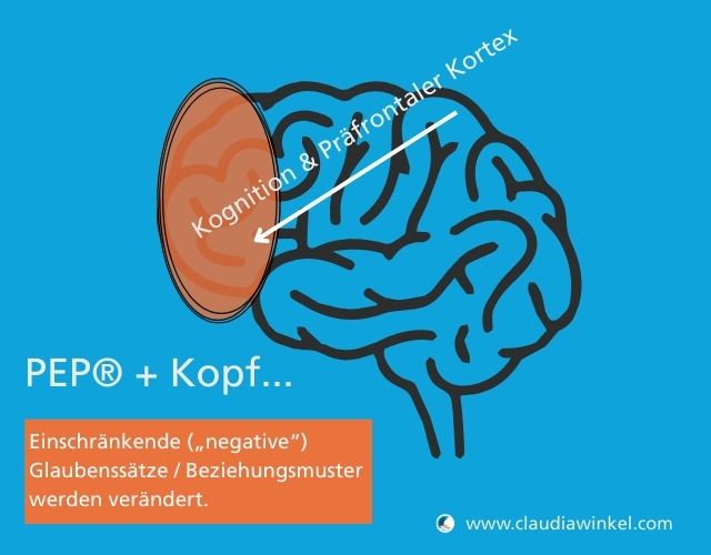 Präfrontaler Kortex