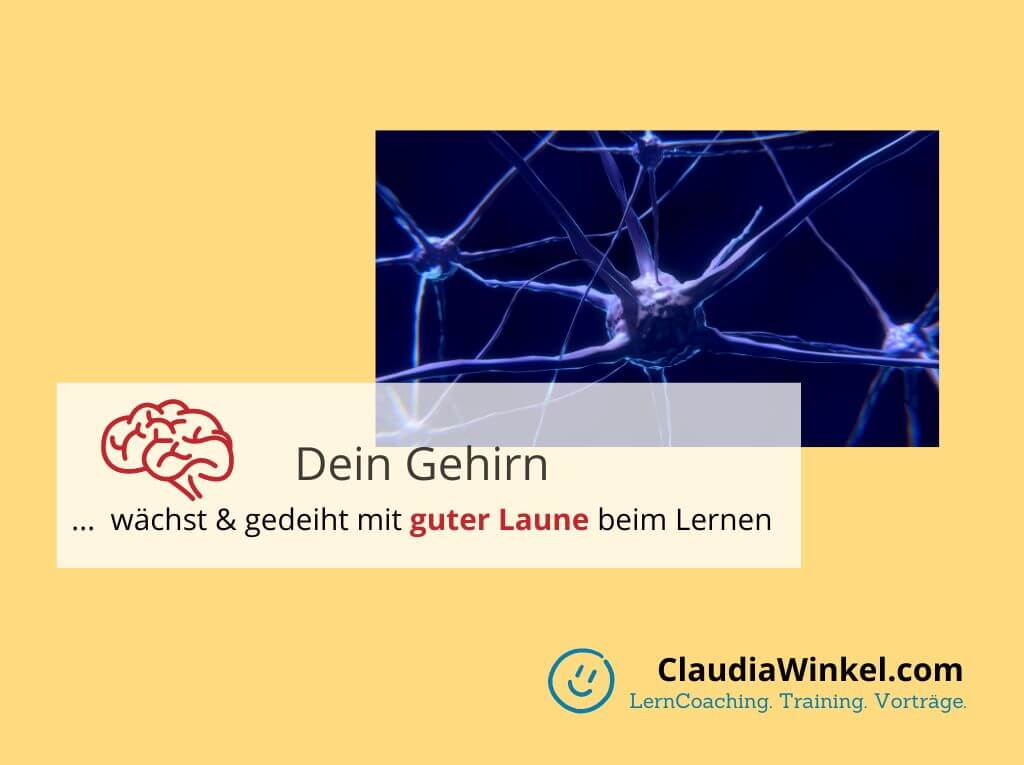 "Gehirn-Turbos" für mehr Lernerfolg I Claudia Winkel Lerncoaching