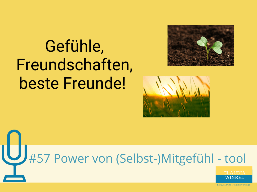 Mentale Power mit mehr Selbst-Mitgefühl I Mental up Your Life Podcast