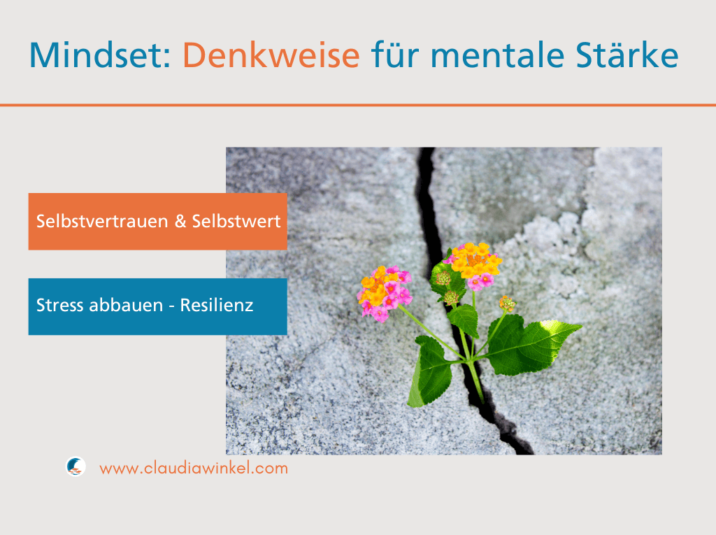 Mindset Coaching - Selbstbewusstsein stärken