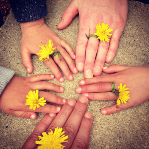 Elterncoaching und Beratung I Kiel- online Claudia Winkel Lerncoaching